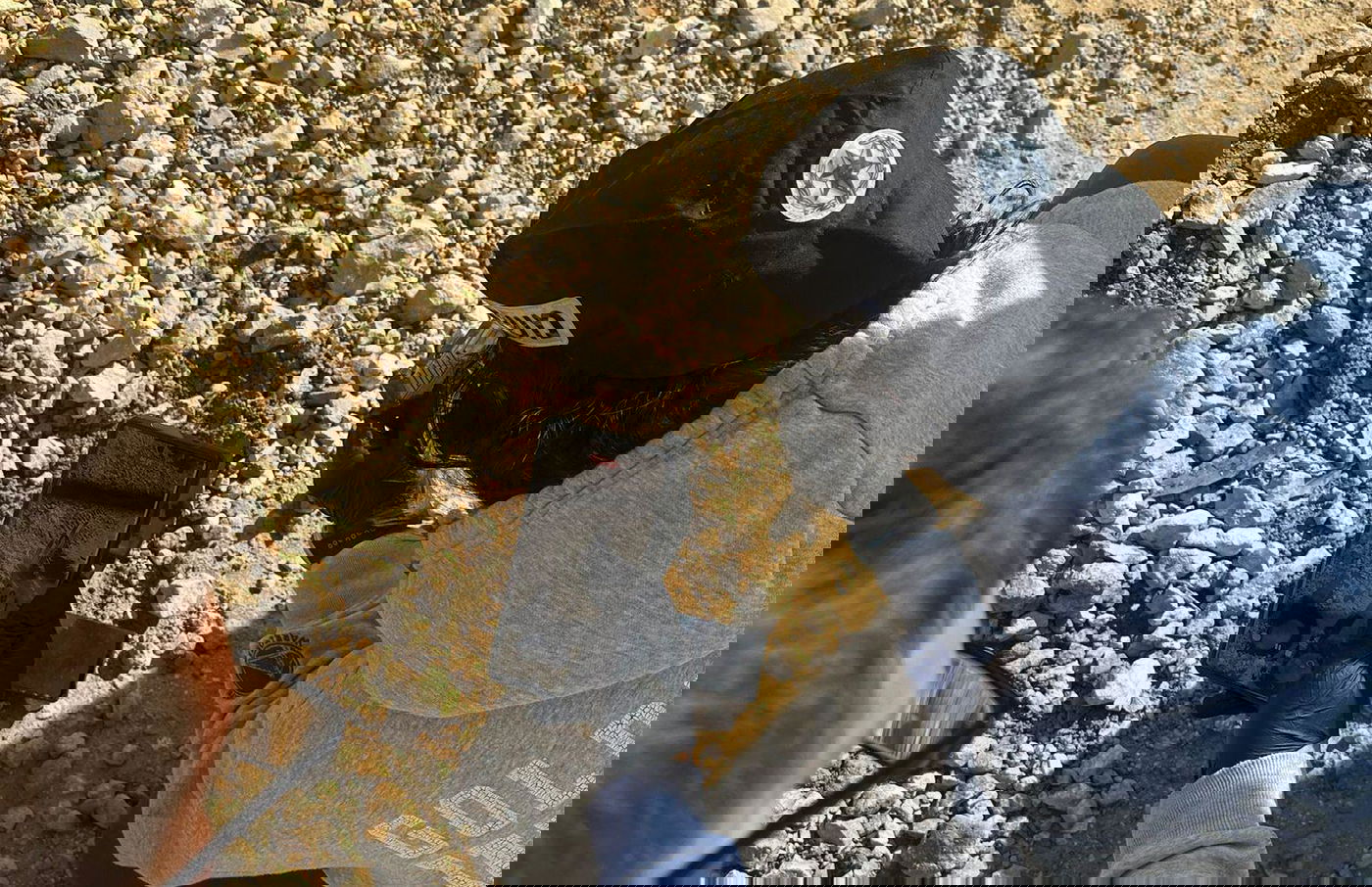 האקדח הגנוב