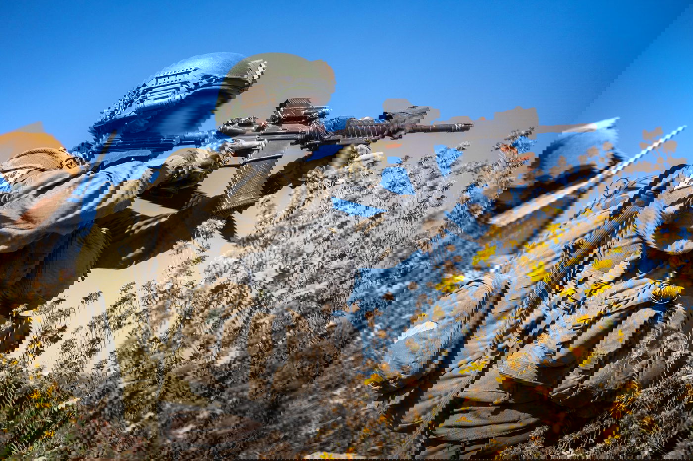 הכוחות בעזה