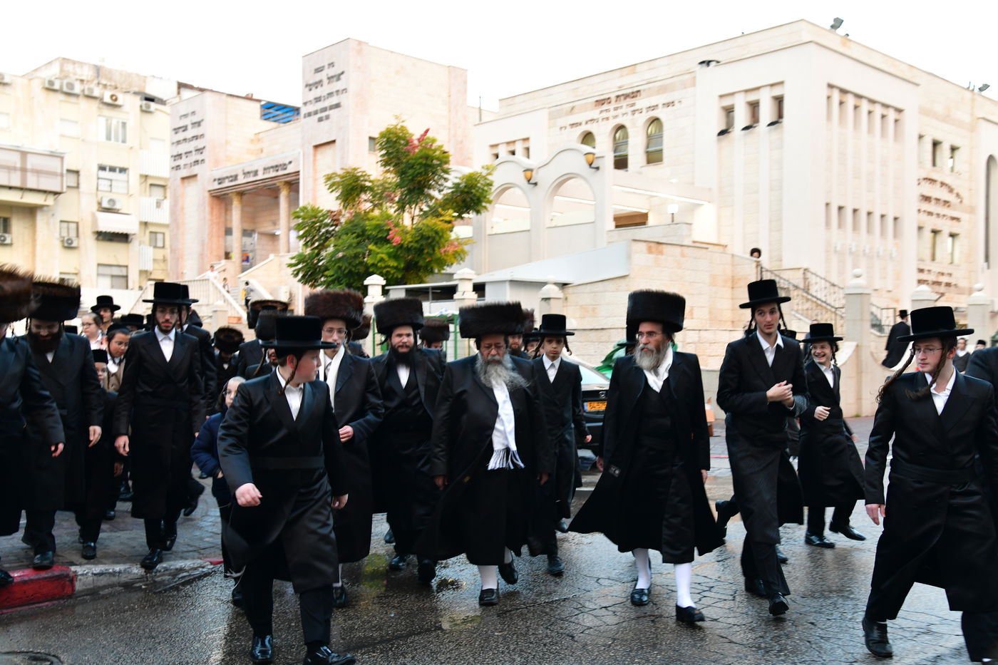 האדמו"ר משבט הלוי שבת פרשת וישב באשדוד