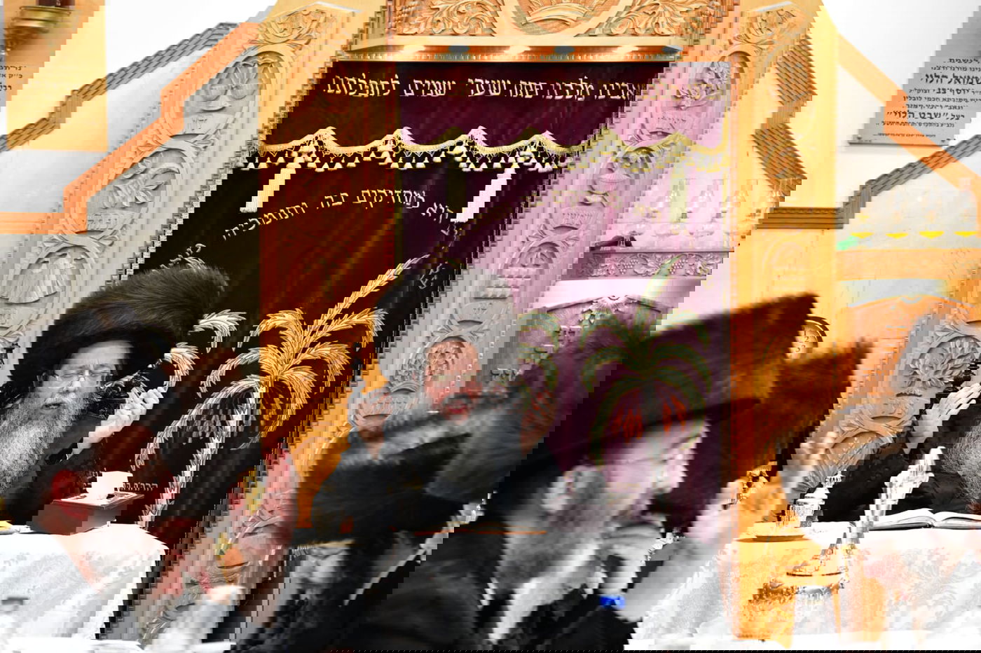 האדמו"ר משבט הלוי שבת פרשת וישב באשדוד