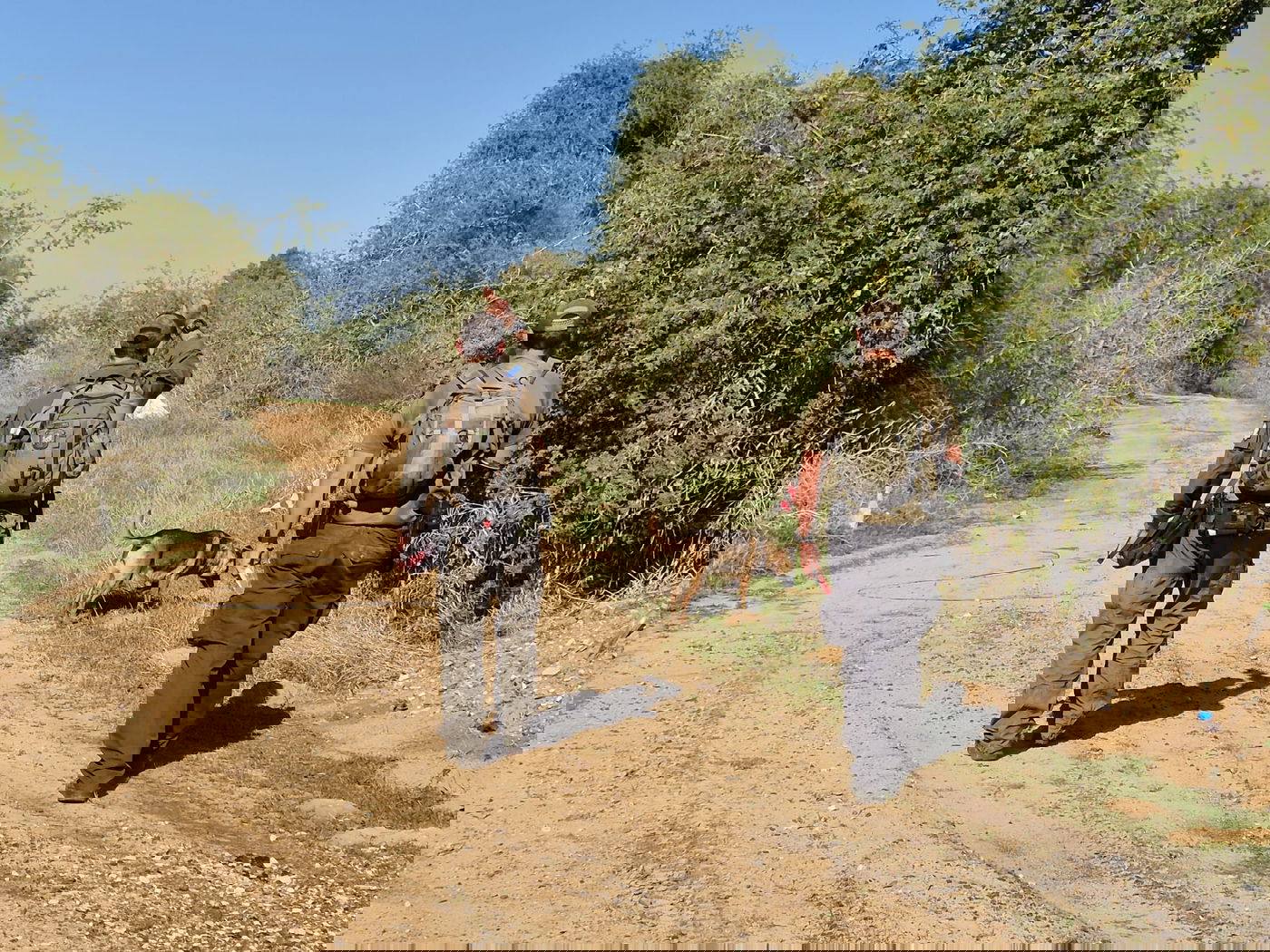 החיפושים אחר הנעדר