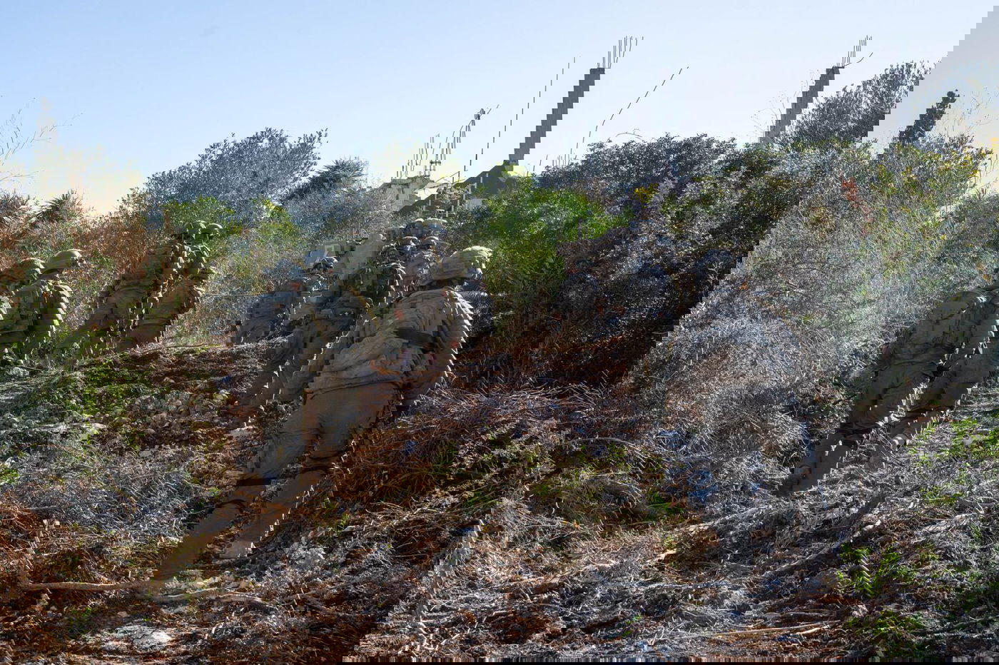 פעילות הכוחות במערב לבנון