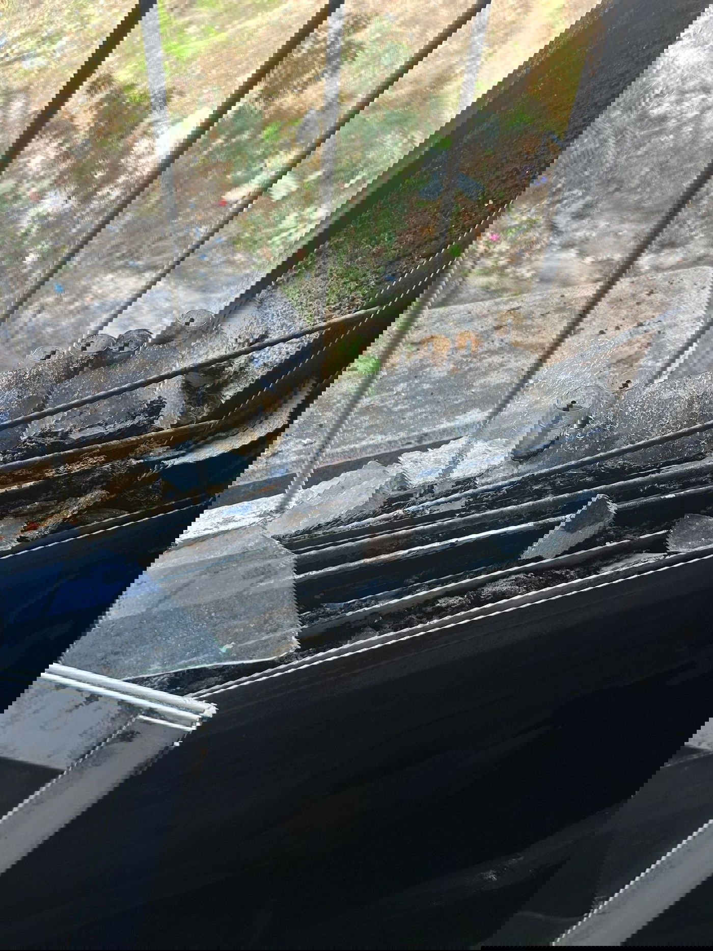 החנוכיה על אדן החלון