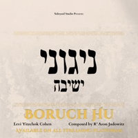 סינגלים וקליפים
