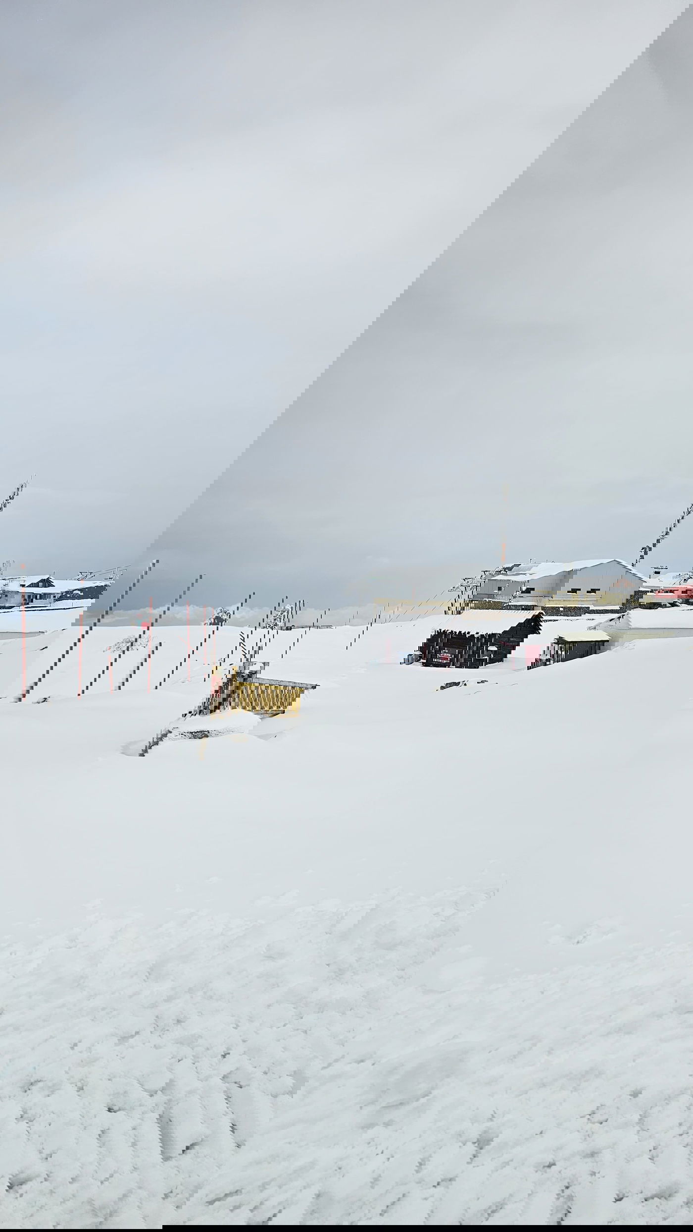 החרמון הבוקר