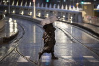 סערה בירושלים | ארכיון