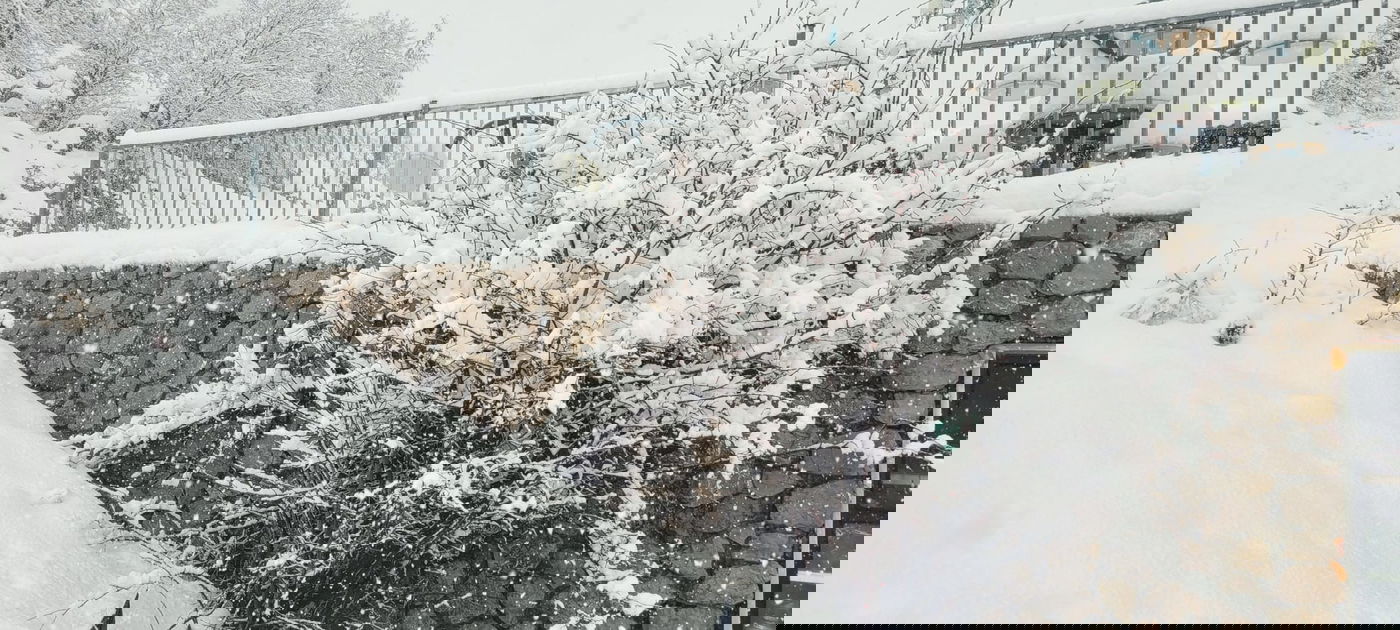 אתר החרמון הבוקר