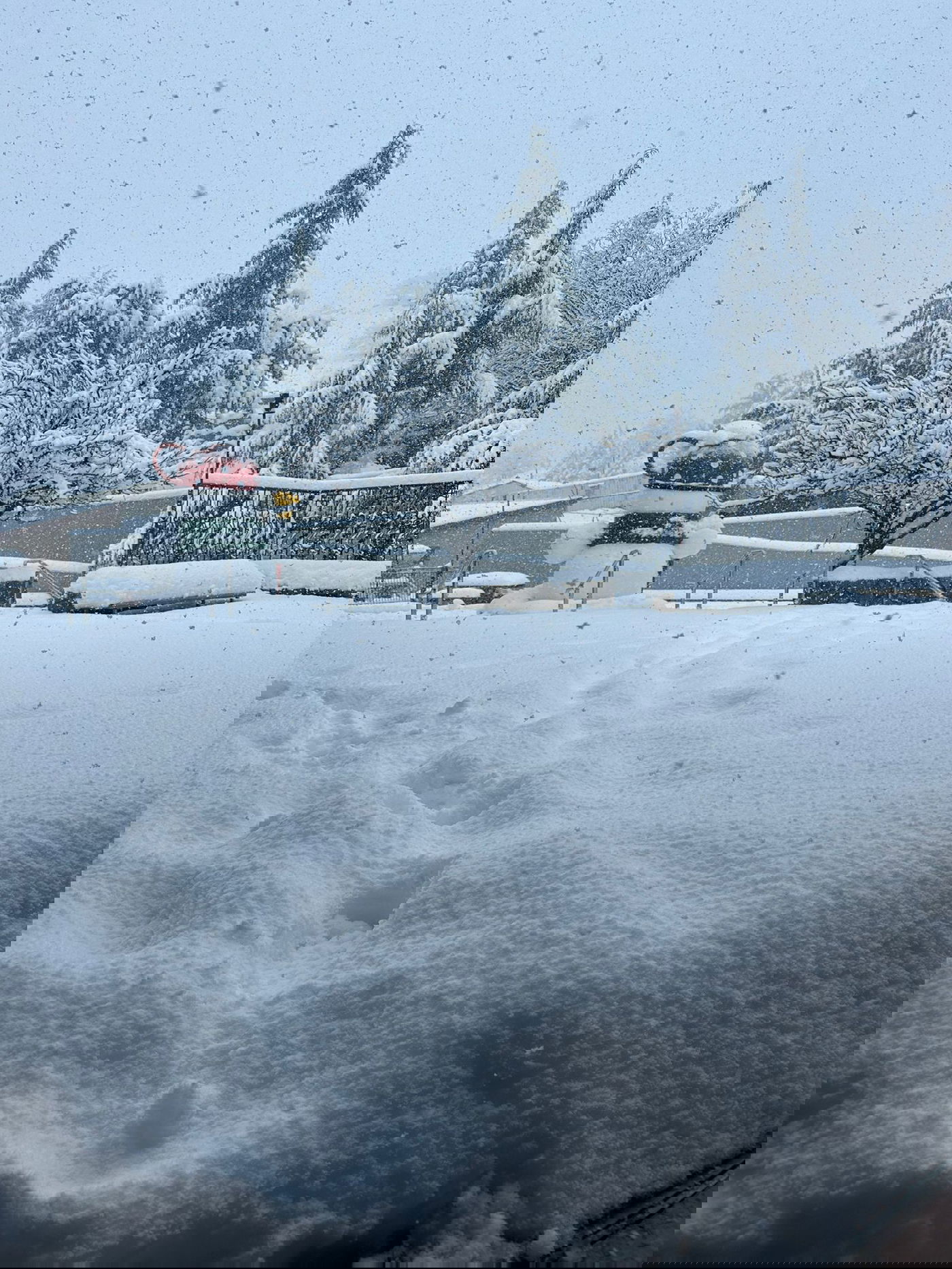 אתר החרמון הבוקר