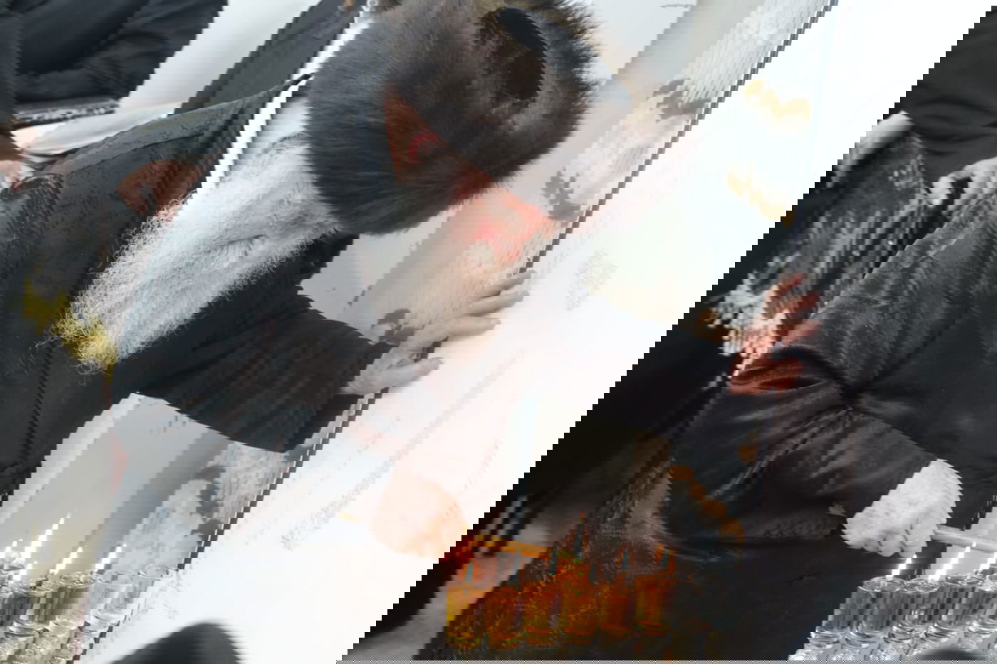 הגה"צ גאב"ד מאקאווא בהדלקת נרות חנוכה