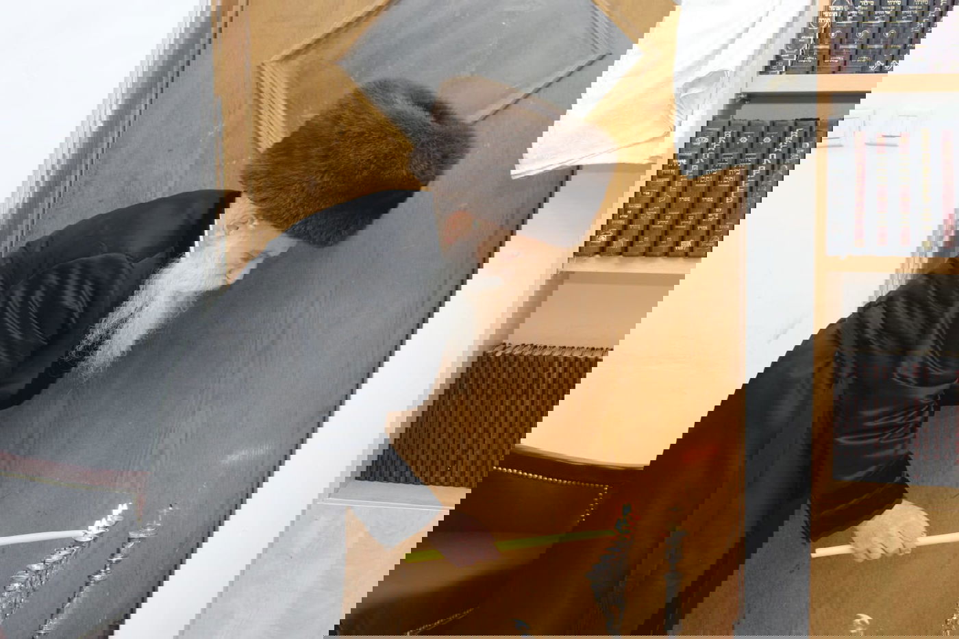 האדמו"ר מבוטשאן בהדלקת נרות חנוכה