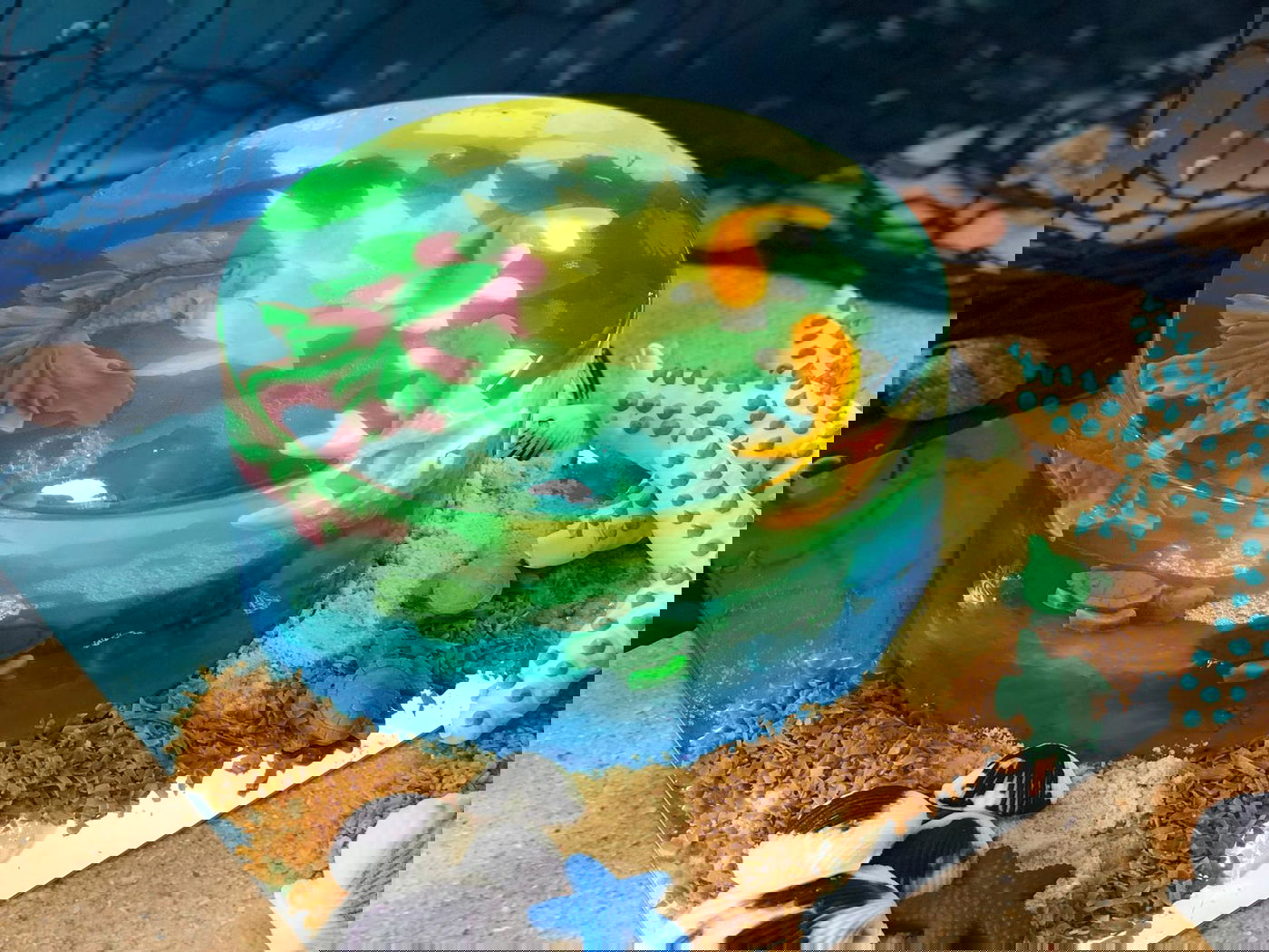 עוגות הג'לי המרהיבות של מלכת הג'לי