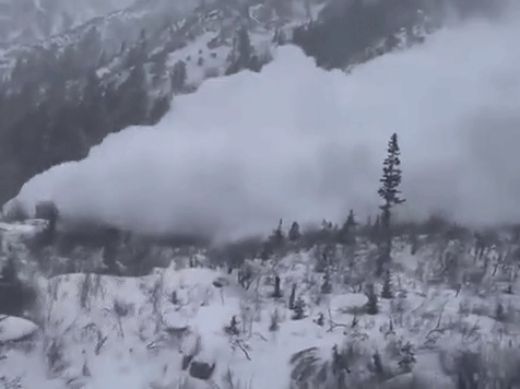 לא ברח בזמן: הנהג תיעד מפולת שלגים - שהגיעה עד הרכב