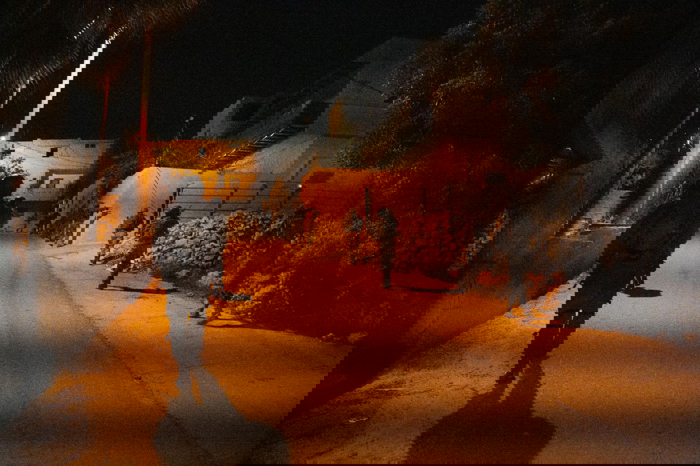 פעילות הכוחות