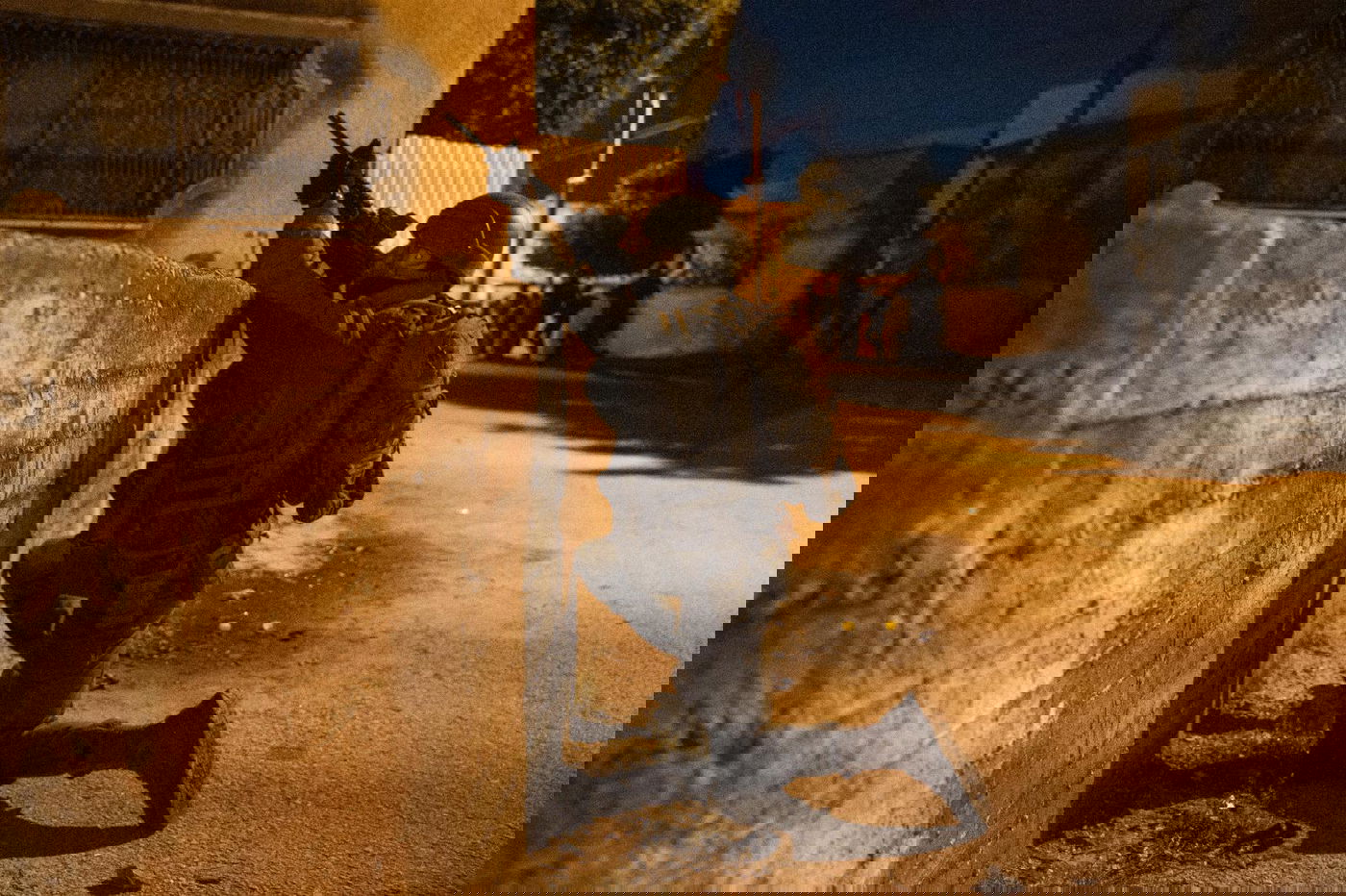 פעילות כוחות ביו"ש | ארכיון