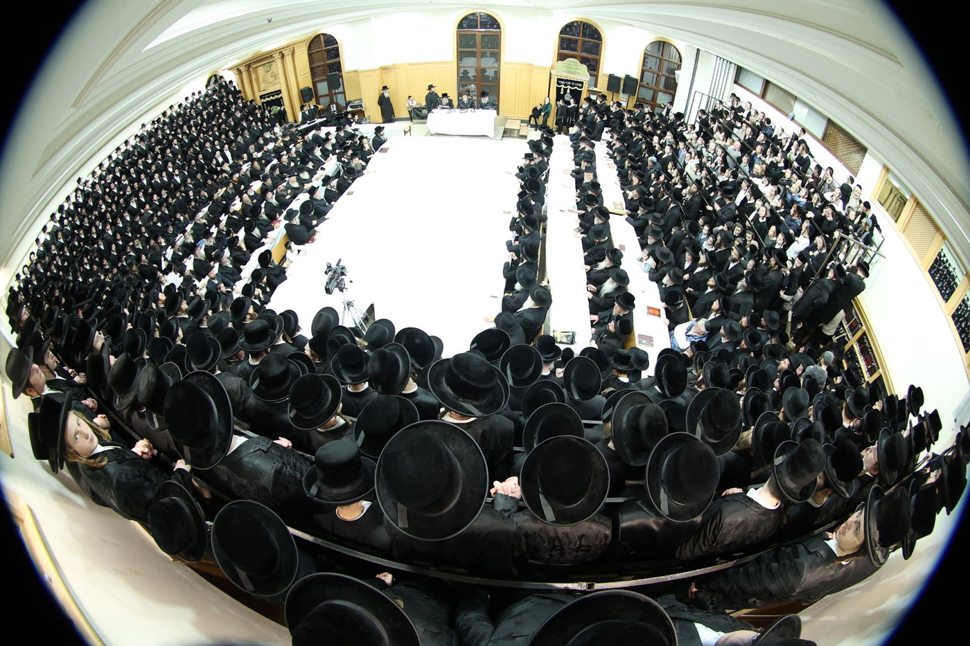 זאת חנוכה בחצה"ק ערלוי