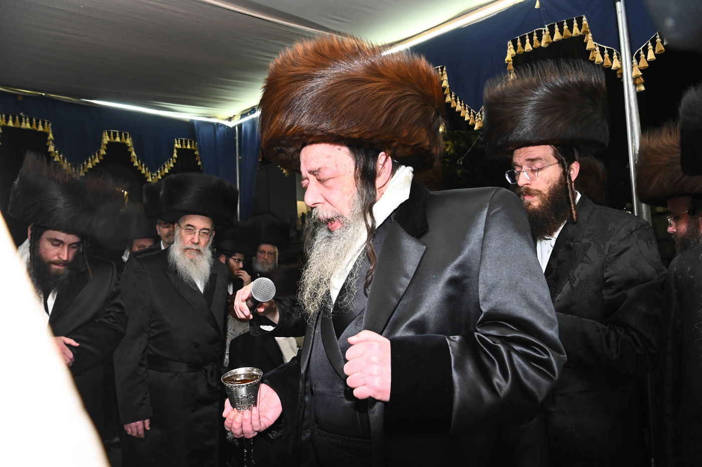 שמחת בית נדבורנה אלעד - זוויעהיל - נאראל - חוסט ווילאמסבורג 