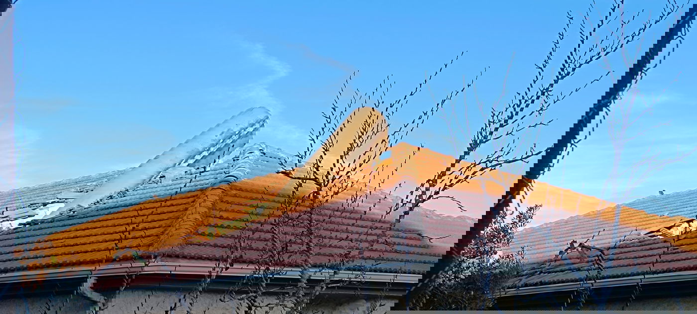 הנפילות, הבוקר