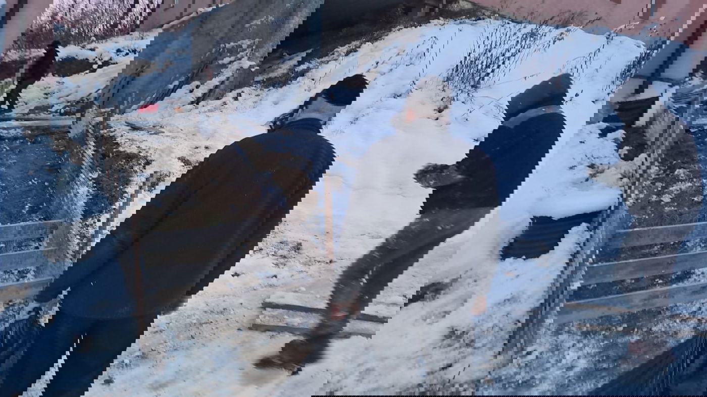 ההכנות בדינוב שבפולין לקראת הילולת ה'בני יששכר'