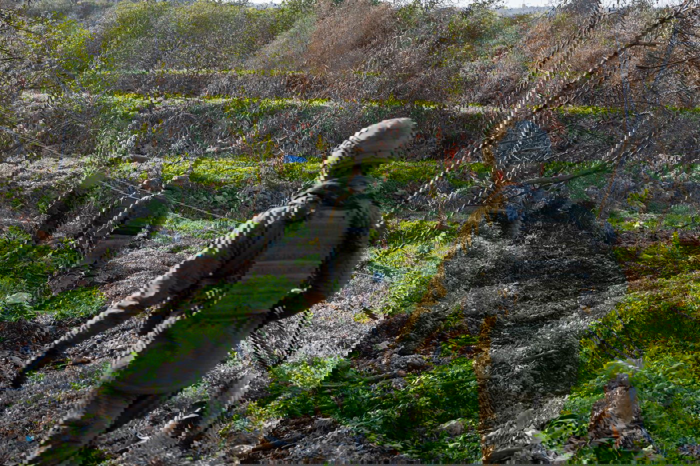 פעילות לוחמי צה"ל במערב לבנון