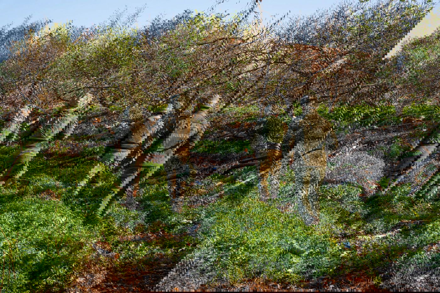 פעילות לוחמי צה"ל במערב לבנון