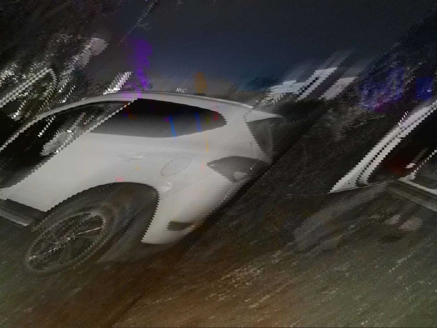 תיעוד מהזירה