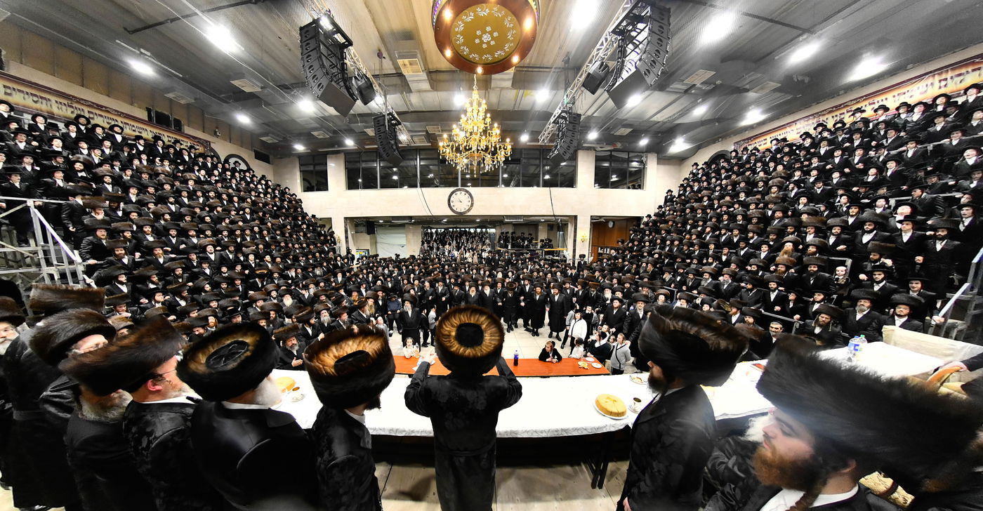 שמחת נישואי נכדת האדמו"ר מדארג