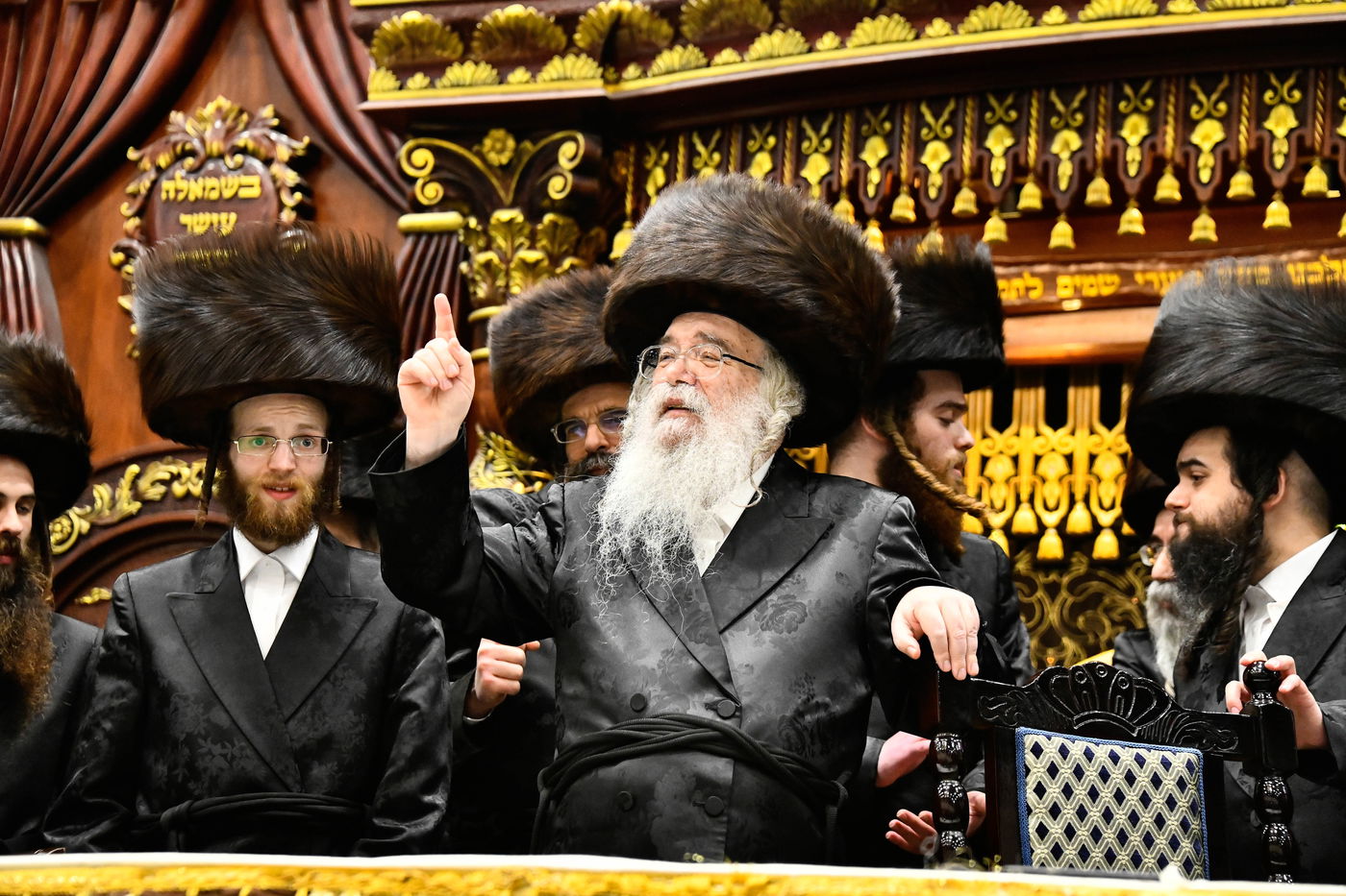 שמחת נישואי נכדת האדמו"ר מדארג