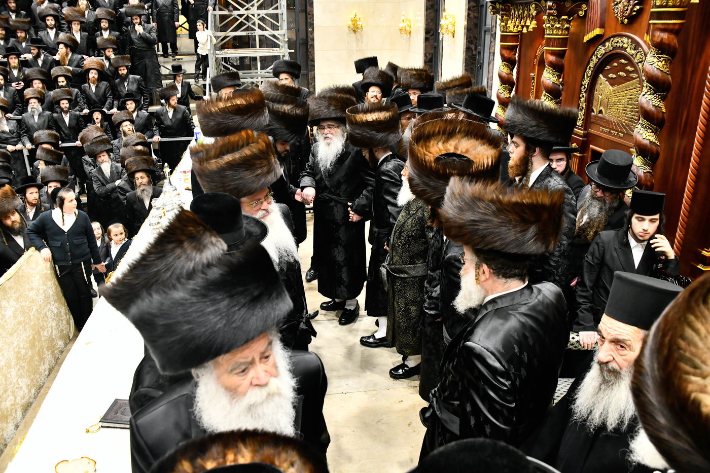 שמחת נישואי נכדת האדמו"ר מדארג