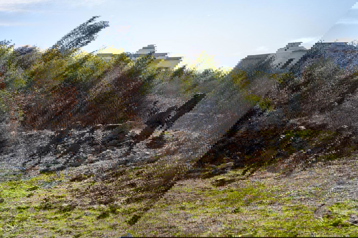 הכוחות פעלו בכפר של חיזבאללה - והשמידו את האמל"ח