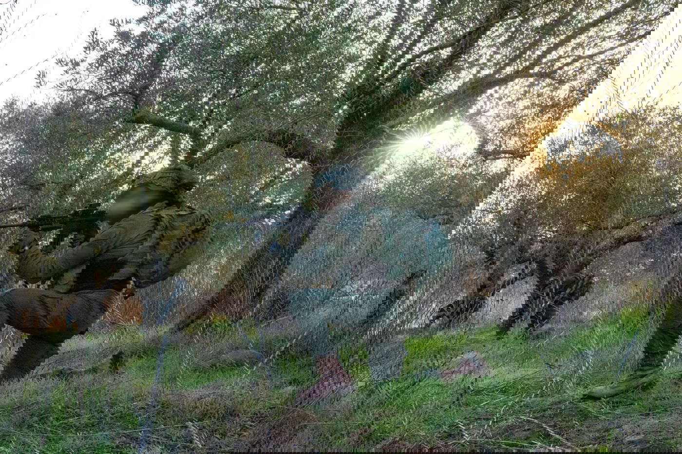 הכוחות פעלו בכפר של חיזבאללה - והשמידו את האמל"ח