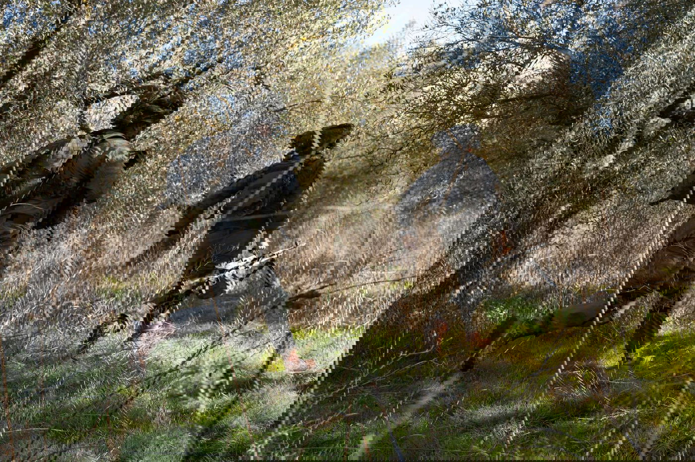 הכוחות פעלו בכפר של חיזבאללה - והשמידו את האמל"ח