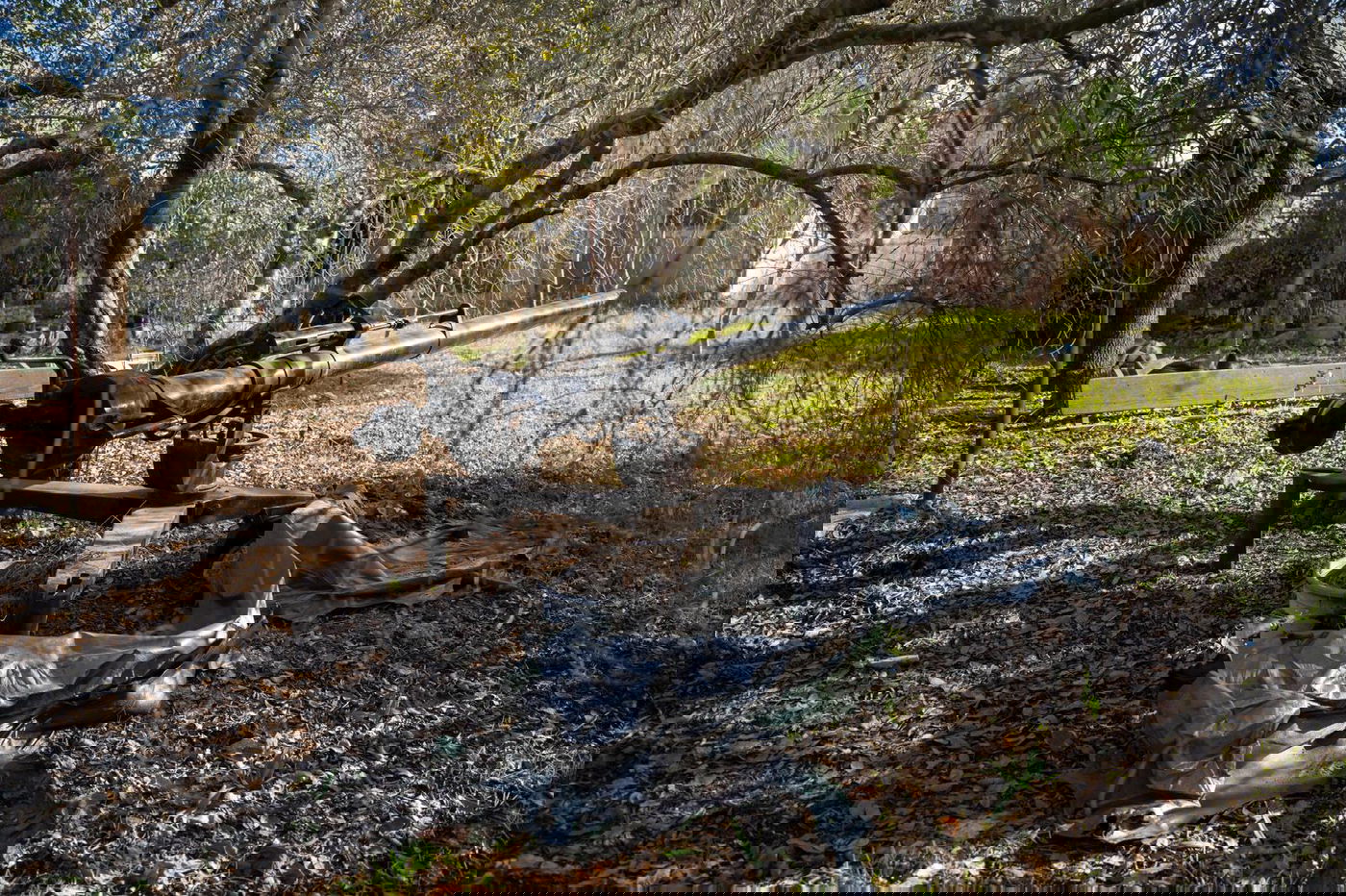 הכוחות פעלו בכפר של חיזבאללה - והשמידו את האמל"ח