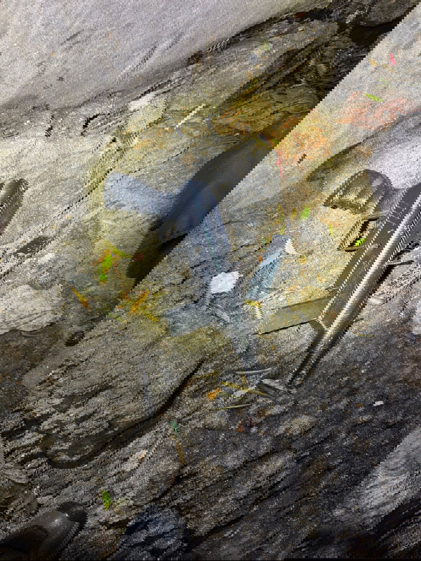 האמל"ח שנתפס