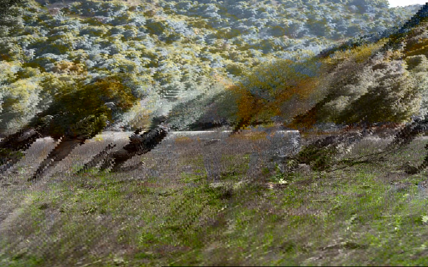 תיעוד האמל"ח שנתפס והפעילות המבצעית