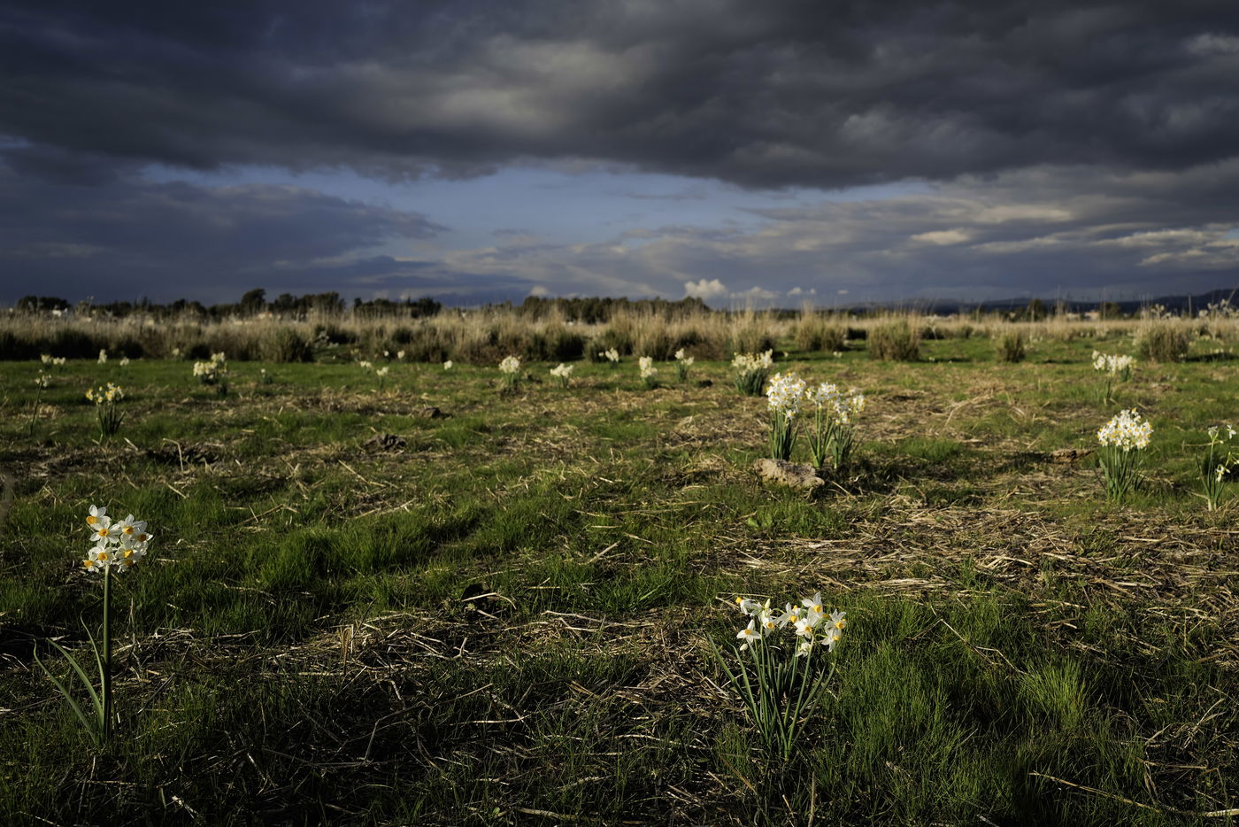 התחזית: ירידה קלה בטמפרטורות, עדיין ייתכן גשם מקומי 
