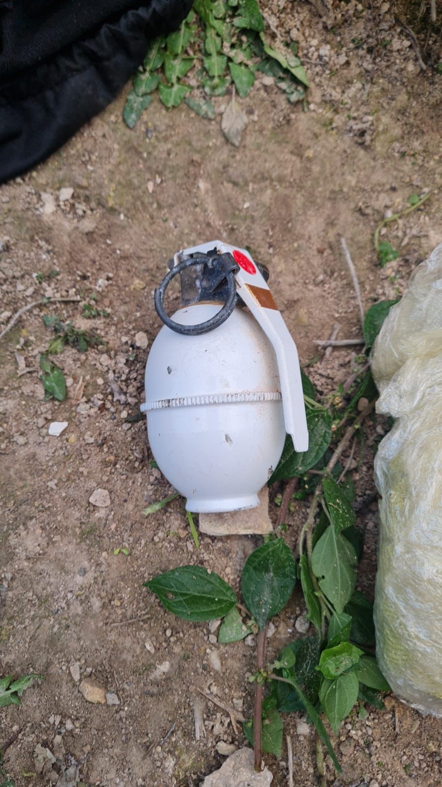 פשיעה ערבית: זה השלל שמצאה הכלבה המשטרתית "קירה"