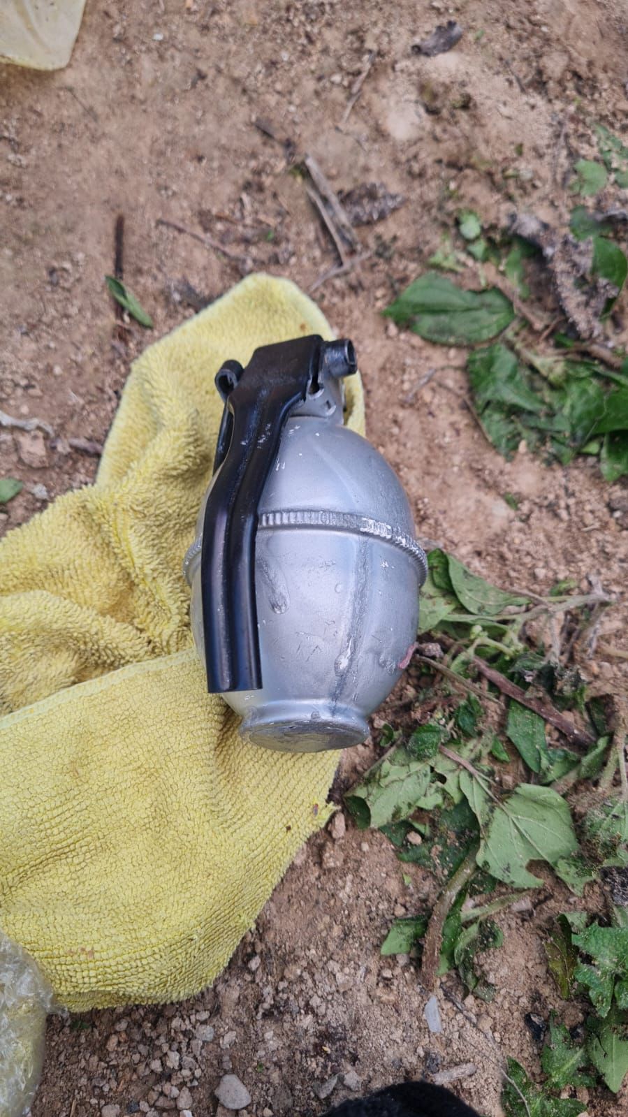 פשיעה ערבית: זה השלל שמצאה הכלבה המשטרתית "קירה"