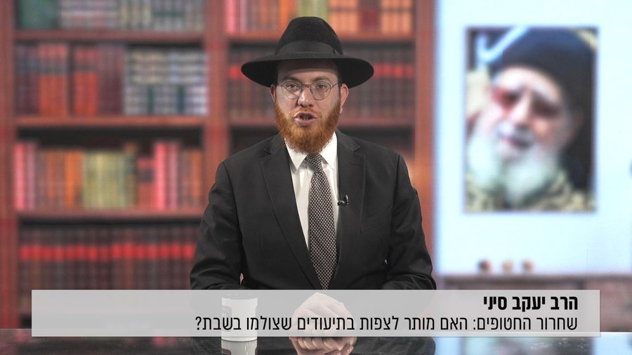 צפו בפינה המלאה