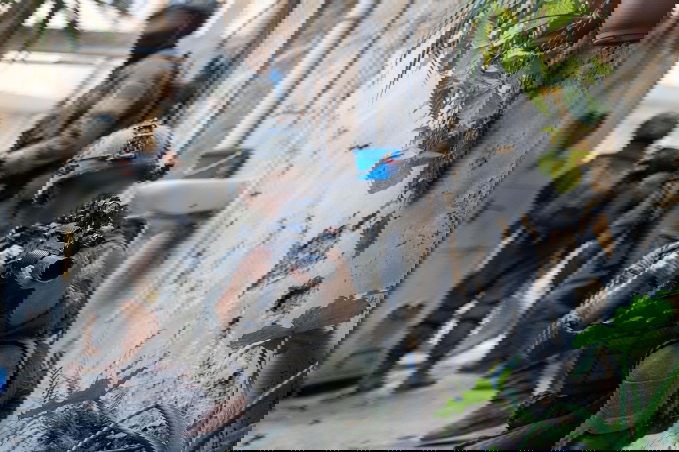 הפעילות בג'נין