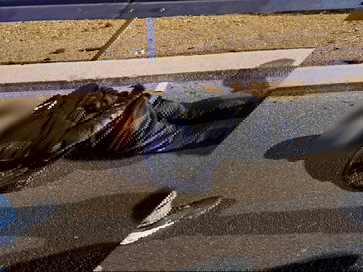 המעצר והרימונים שנתפסו