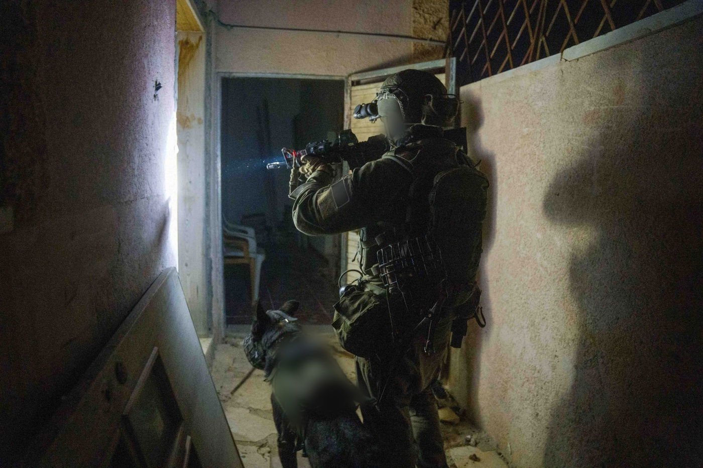 הפעילות בכפר טמון