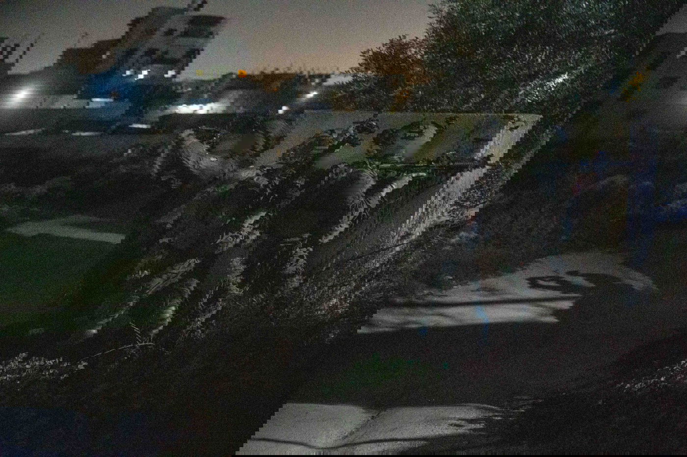 הפעילות בכפר טמון