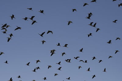 מזג אוויר משוגע: גל חום ביומיים הקרובים | מרביעי: התקררות, גשם, ושלג בחרמון