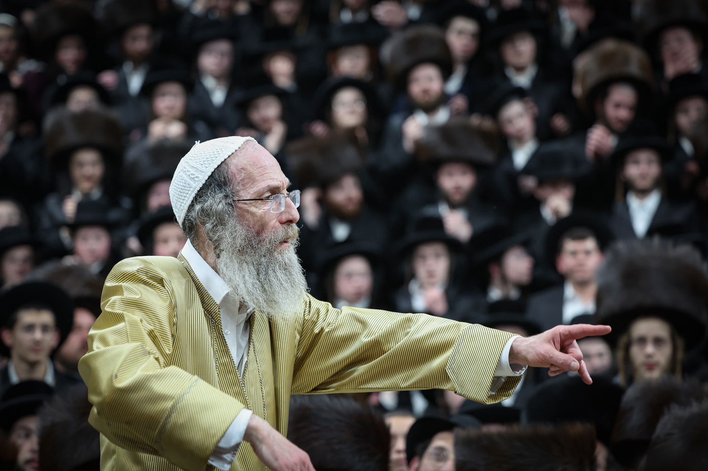 שבת אופריף לבן הגה"צ רבי אלימלך בידרמן