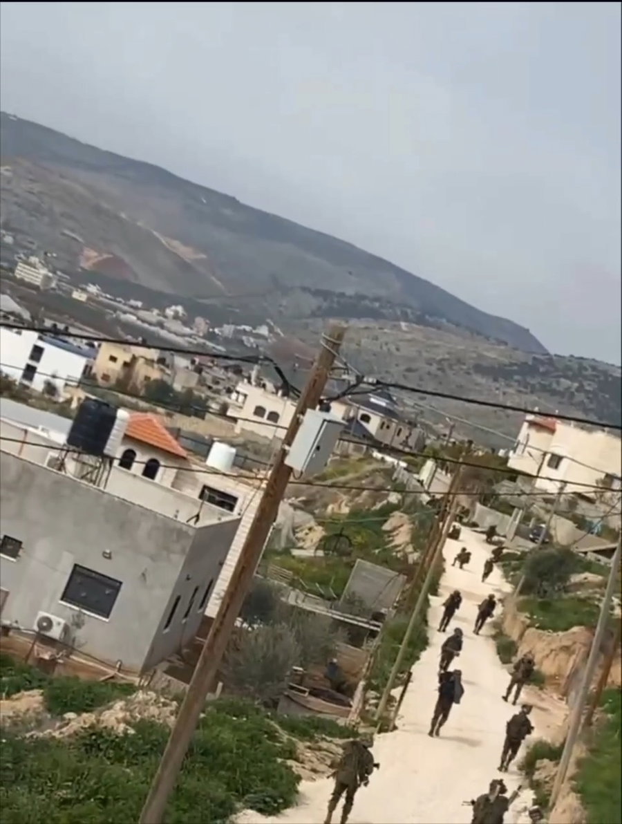 כוחות צה"ל בטאמון