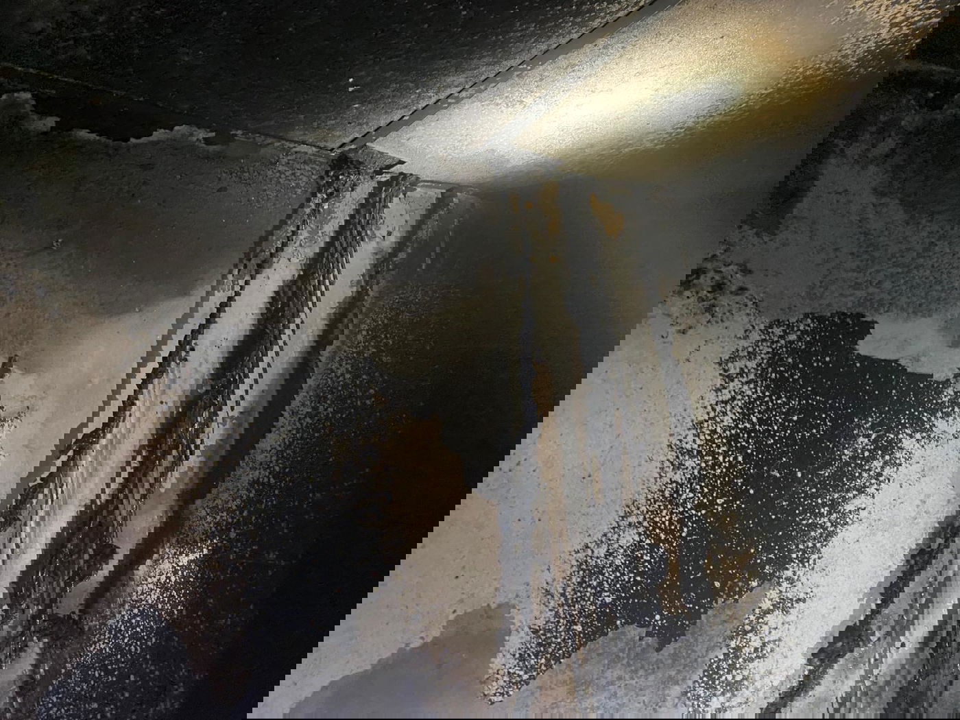 שריפת בית כנסת בלוד