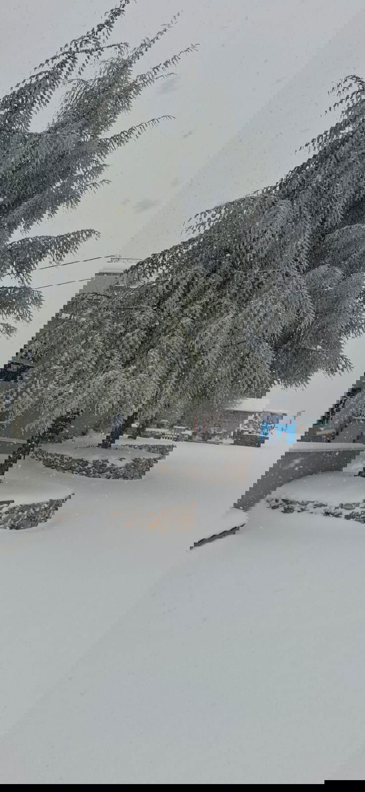 החרמון הבוקר