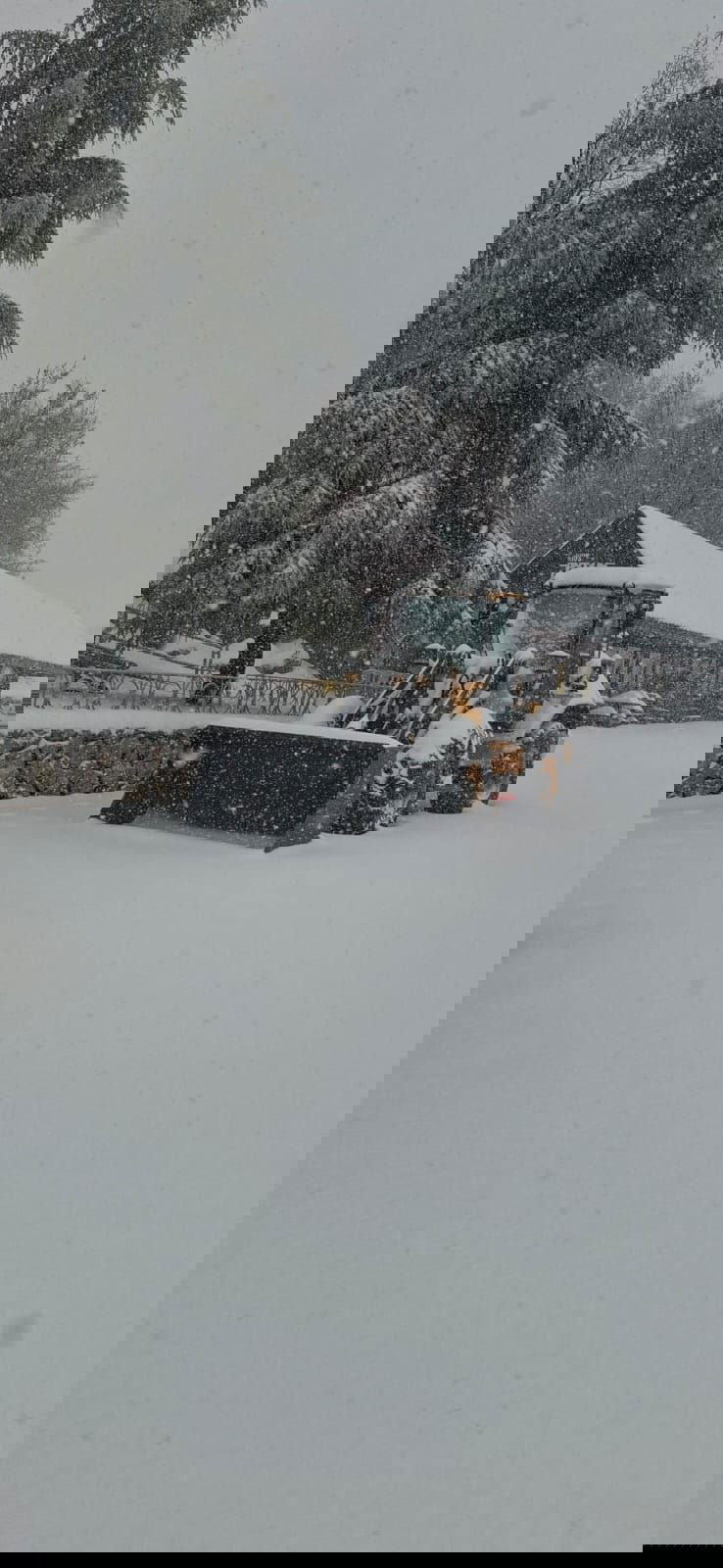 החרמון הבוקר