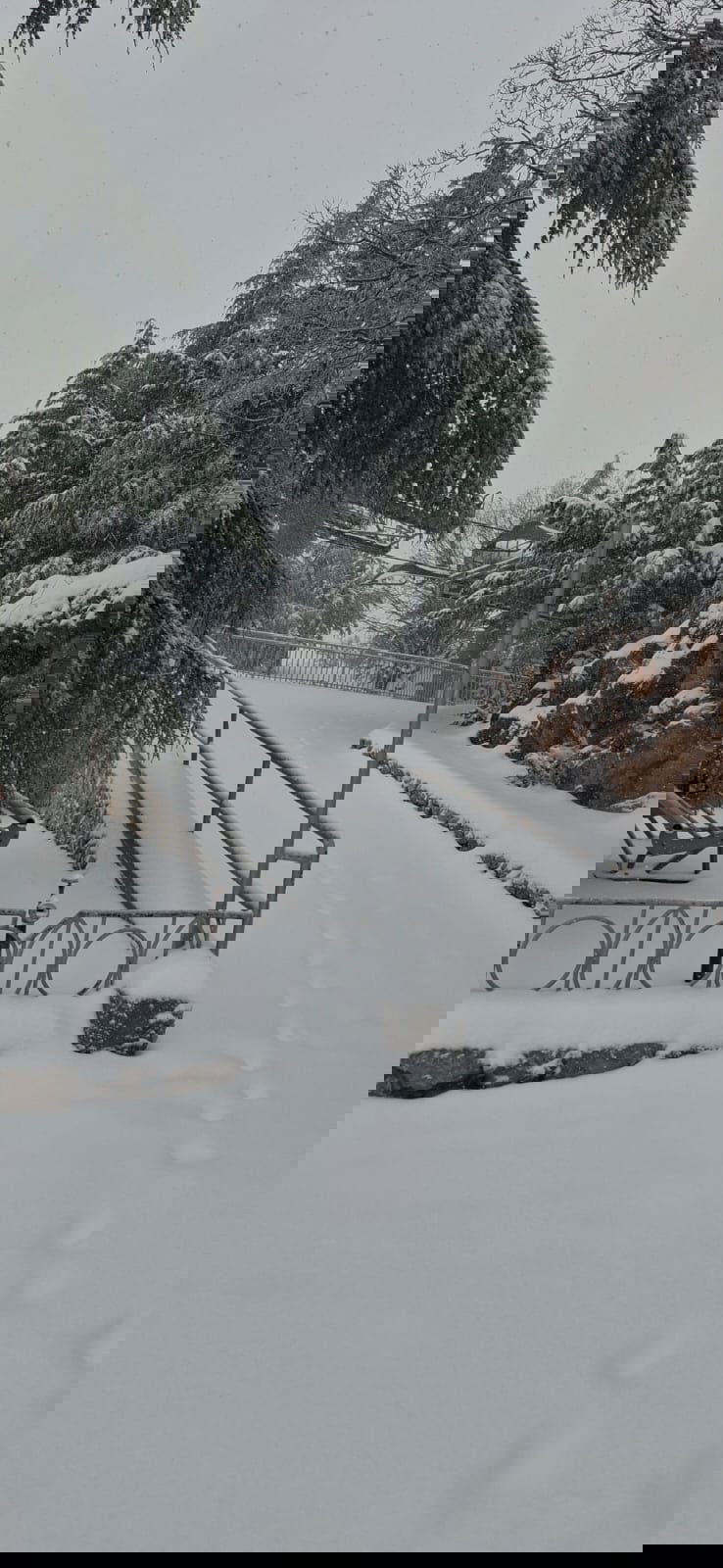 החרמון הבוקר