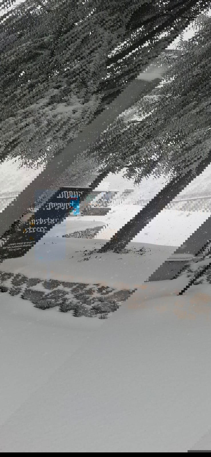 החרמון הבוקר